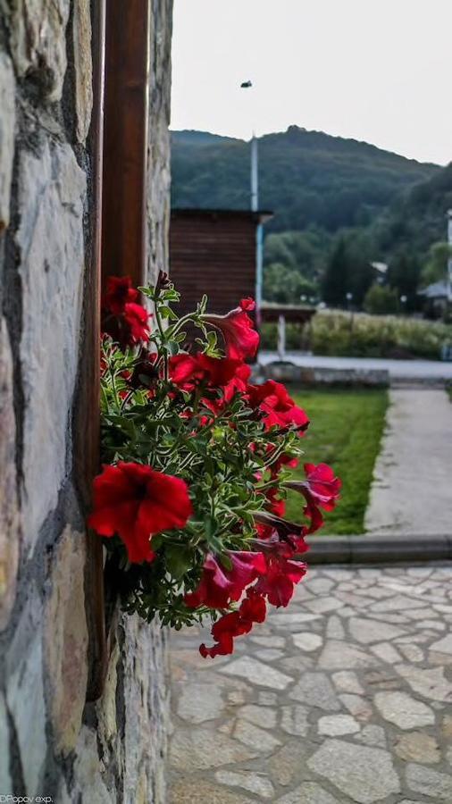 Villa 'Iva' Mavrovo Exteriör bild